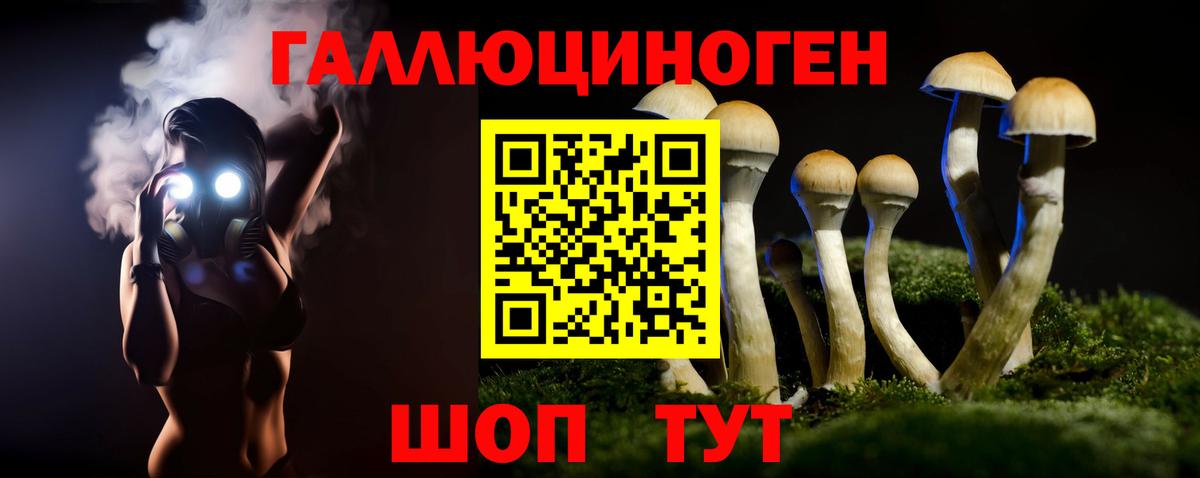 Галлюциногенные грибы Psilocybine cubensis Черняховск